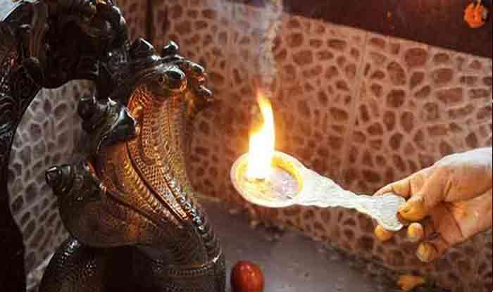 pay-special-attention-to-these-things-during-nag-panchami-puja