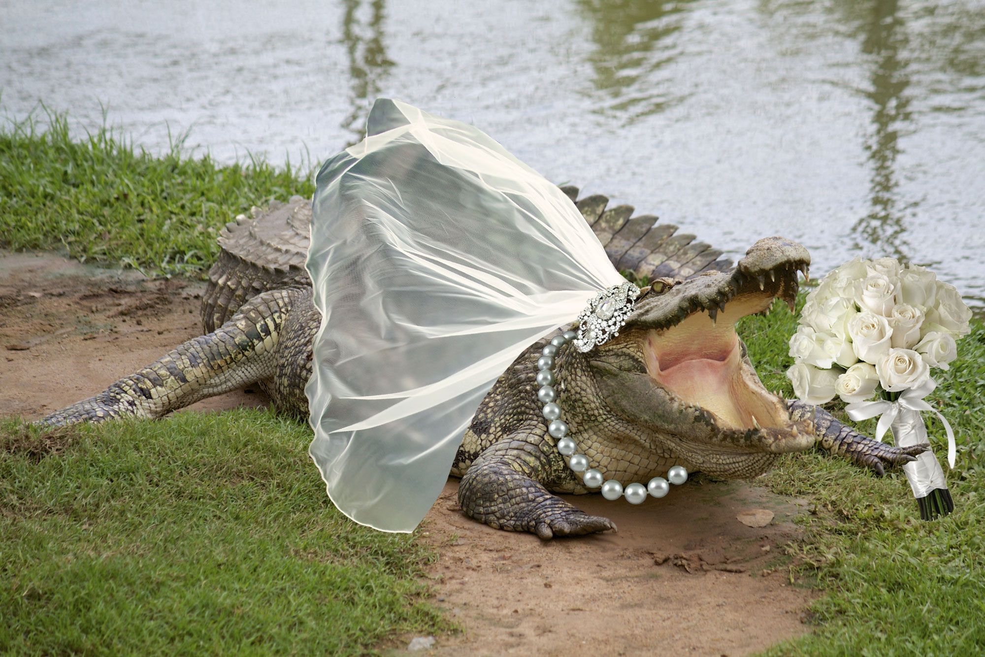 a-unique-wedding-the-mayor-of-mexico-married-a-crocodile-the-reason-is-strange