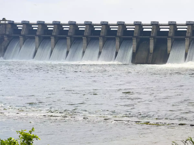 many-demos-of-gujarat-flooded-from-meghmaher-the-bridge-collapsed-water-seeped-into-the-house