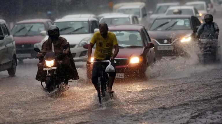 monsoon-continues-in-gujarat-last-24-hours-it-rain-in-201-talukas