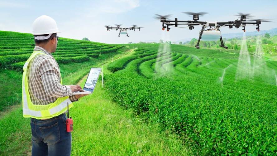 Farmers of Gujarat will be able to spray medicine with drones