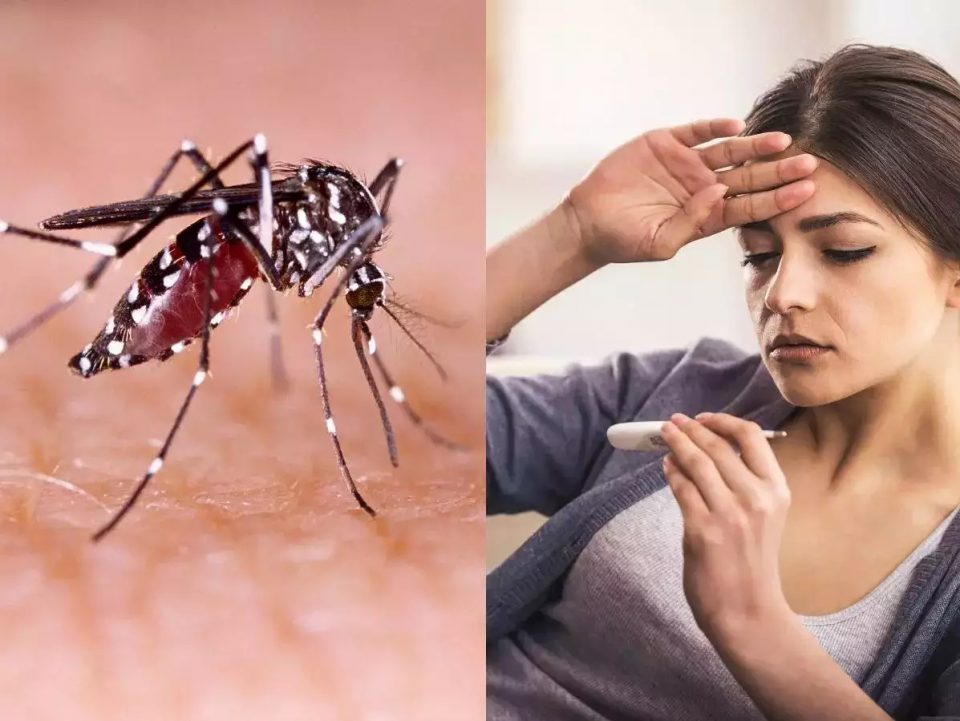 this-ayurvedic-home-remedy-for-dengue-fever