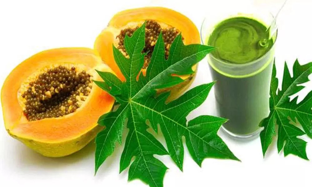 this-ayurvedic-home-remedy-for-dengue-fever