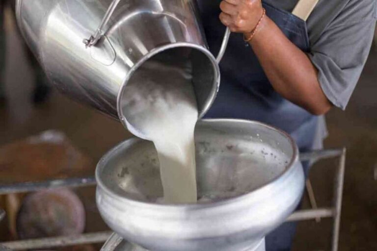 Today the strike of the goods in the people! Milk dairies are also closed in many places