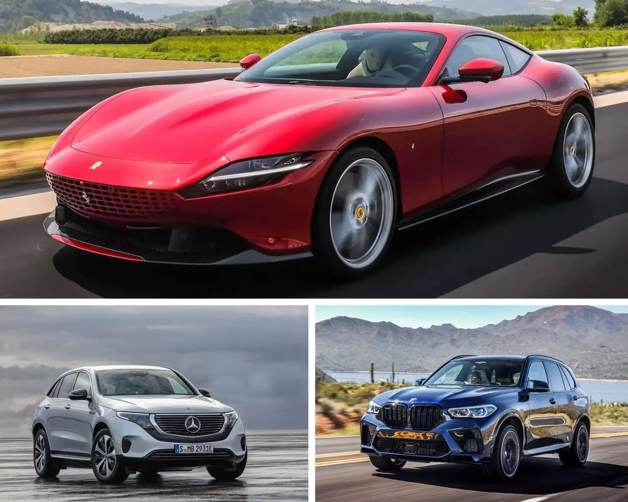 1600 cars, 1000 bikes and 2 crore gathiya-jalebis sold in Rajkot on Dussehra