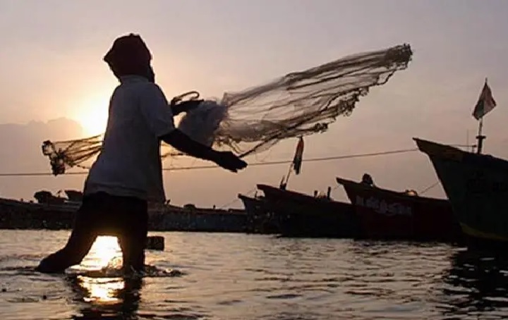 Fishermen's Diwali improved! Gujarat government made these big announcements for fishermen