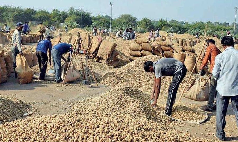 Agriculture Minister Raghavji Patel made a big announcement for farmers! Commencement of purchase at support price up to 90 days from benefit 5th