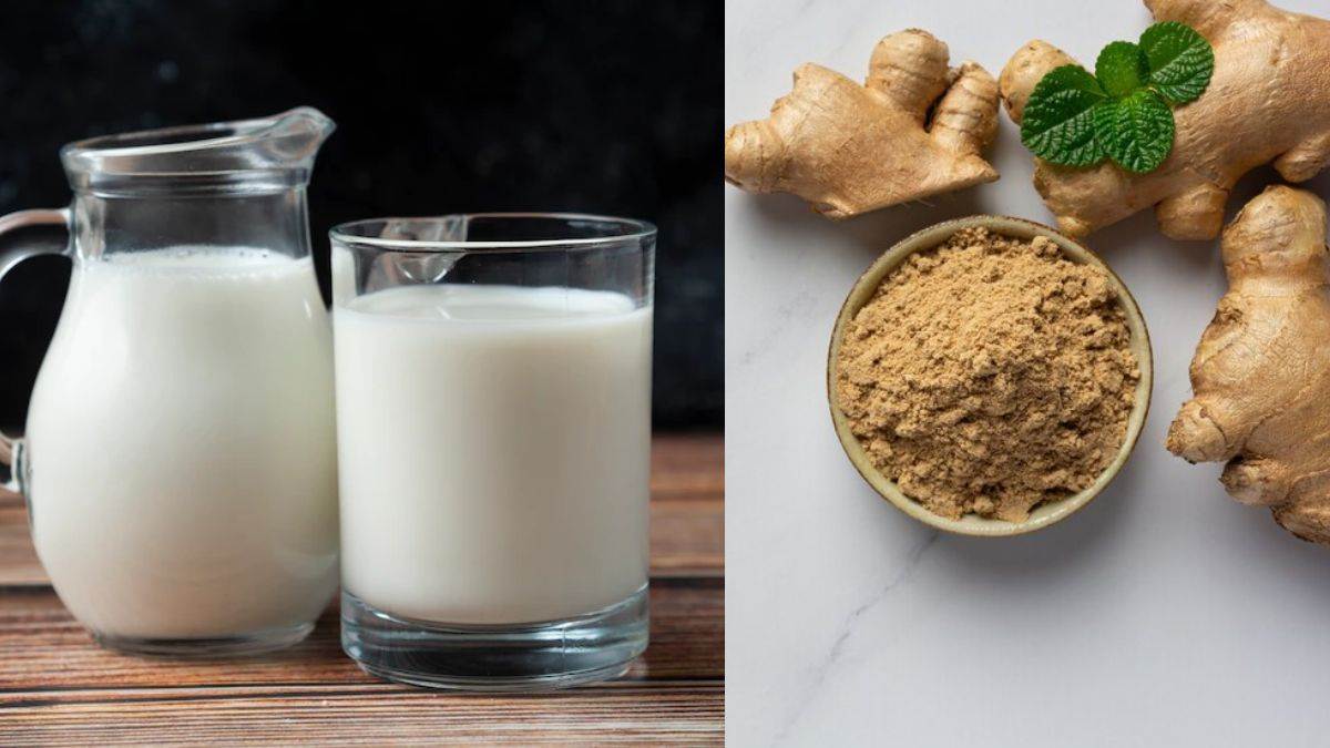 sonth-milk-benefits-fortified-milk-is-a-treasure-of-health-know-its-amazing-benefits