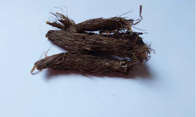 jatamansi-is-an-anti-depressant-know-the-4-health-benefits-of-this-special-herb