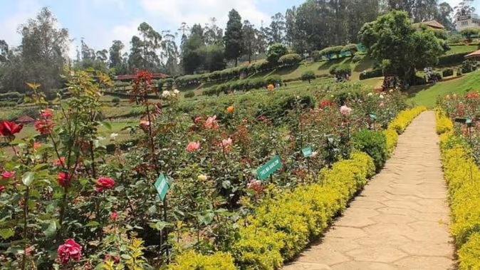 christmas-2022-family-trip-ideas-these-4-places-are-best-for-celebrating-christmas-you-can-go-with-family