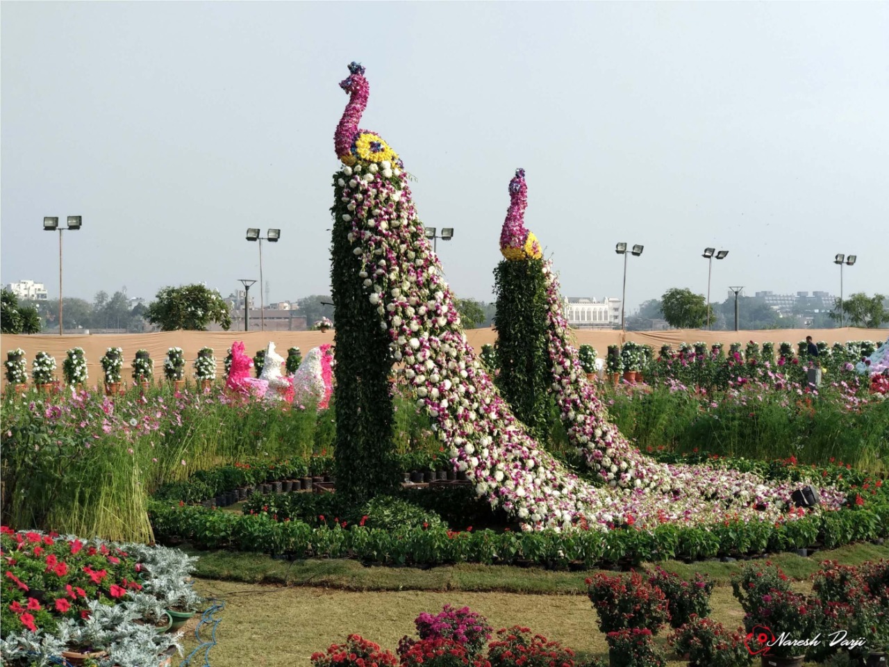 After 2 years of corona epidemic, masks have been made compulsory in the flower show to be held in Ahmedabad, more than 20 ticket counters will be prepared at the center.