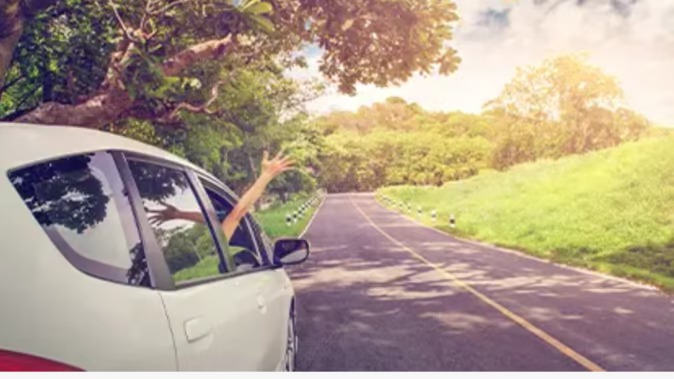 If you have not yet left for the New Year trip, then plan to visit these places for one day.