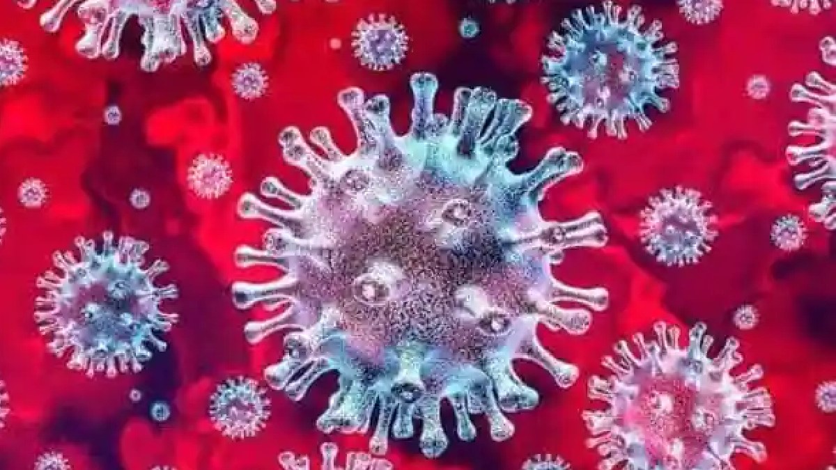 bhavnagar-businessman-returned-from-china-reports-positive-samples-sent-for-genome-sequencing