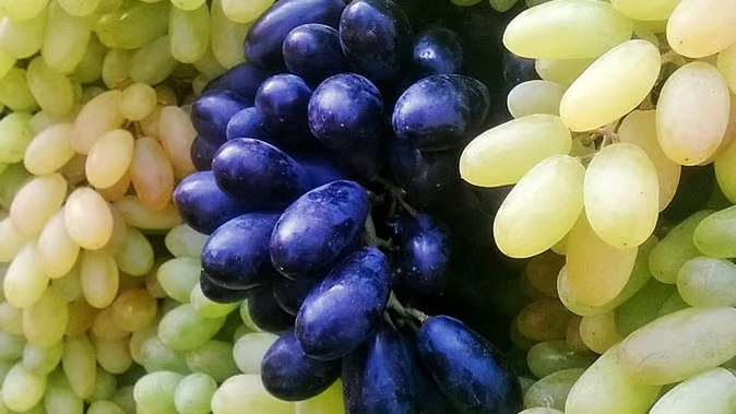 health-tips-a-great-source-of-vitamin-c-in-winter-these-fruits-are-also-beneficial-for-cholesterol-and-digestion