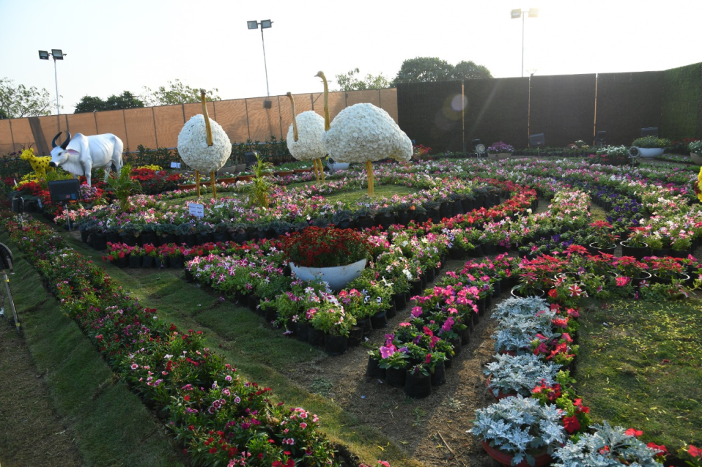 ahmedabad-flower-show-flower-show-inaugurated-by-chief-minister-bhupendra-patel-see-amazing-pictures-of-sculptures-made-of-flowers