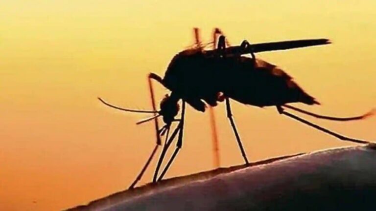 Zika virus outbreak in Karnataka, 5-year-old girl infected, health department alert