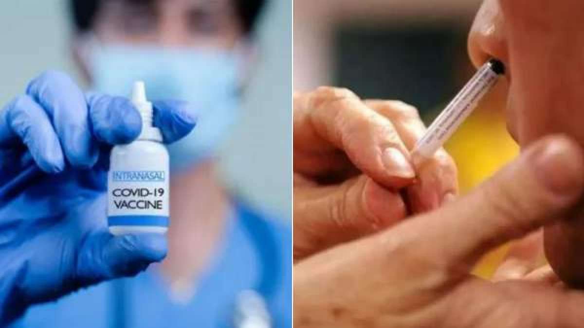 centrally-approved-nasal-vaccine-will-be-available-in-private-hospitals-amid-rising-infections