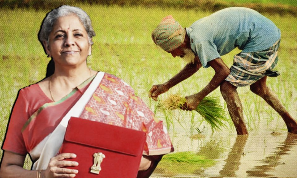 will-the-amount-of-pm-kisan-yojana-increase-in-the-budget-experts-demanded-to-increase-the-amount-for-this-reason
