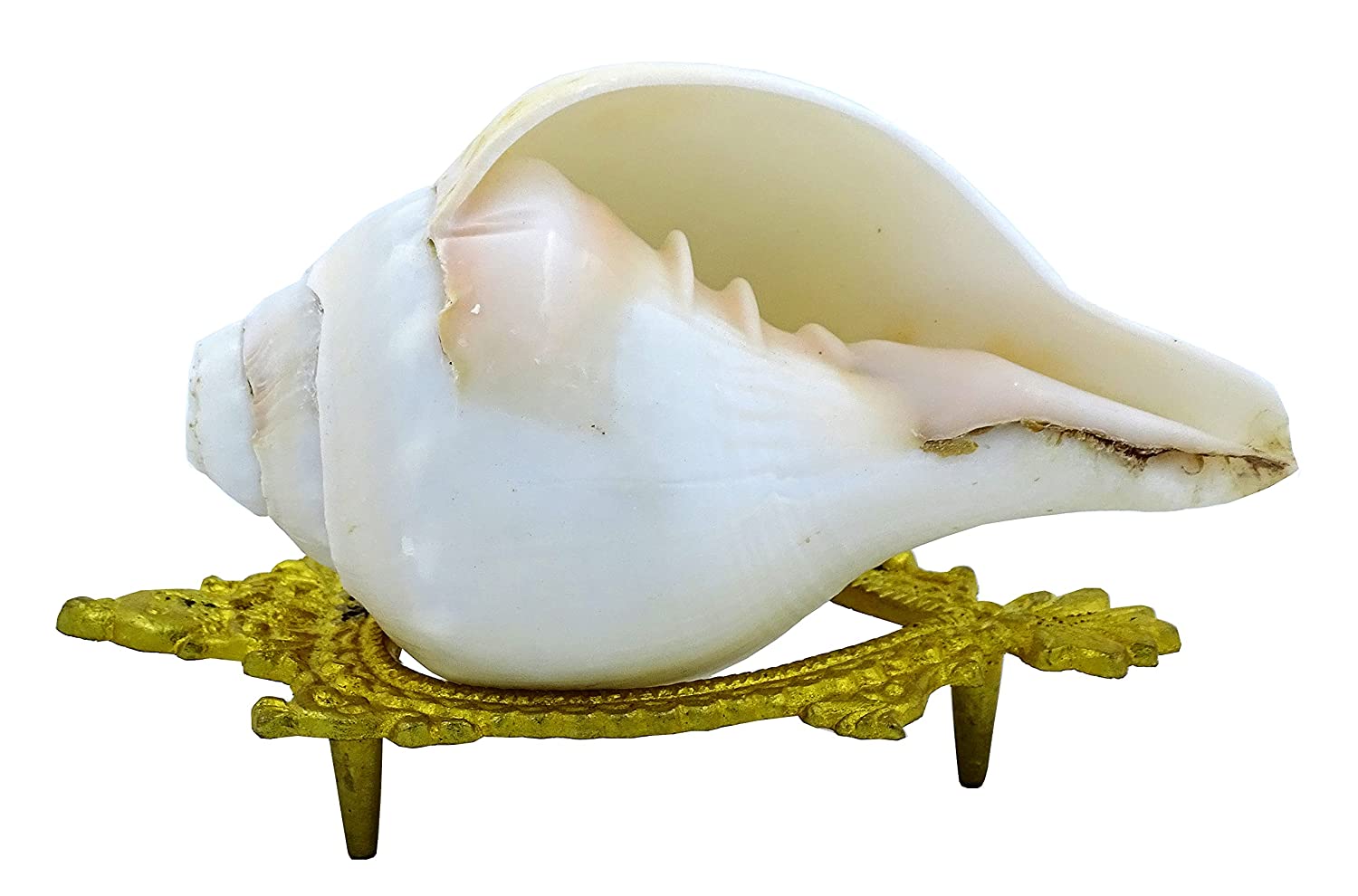 A big change comes in the house with the sound of conch, many of your problems will be removed