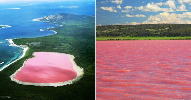 This pink lake is present here in the world, know the story behind its color