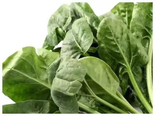 This is the most expensive bhaji in the world... the price is so much that you will go to the checkpoint! Know where it is cultivated