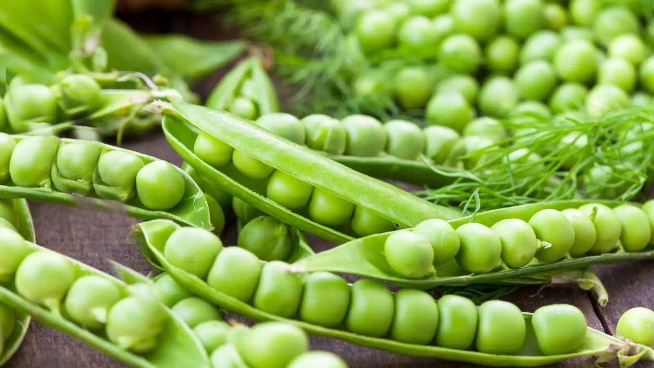 These 5 people should not eat anything made of peas, it will cause harm instead of benefit