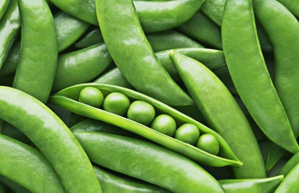 These 5 people should not eat anything made of peas, it will cause harm instead of benefit