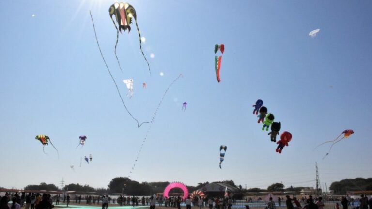 Colorful kites including Batman, Octopus became center of attraction at Gir Somnath Kite Festival