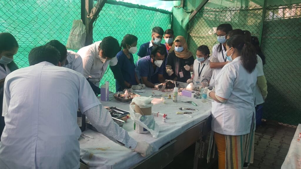 Life-loving organizations became active in saving the lives of injured birds during the Uttarayan festival in Amdava