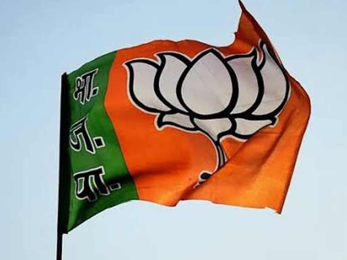 BJP Aims to Win 26 Lok Sabha Seats, CM Patel Says - 'Assembly Elections Have Decided Result of 2024'