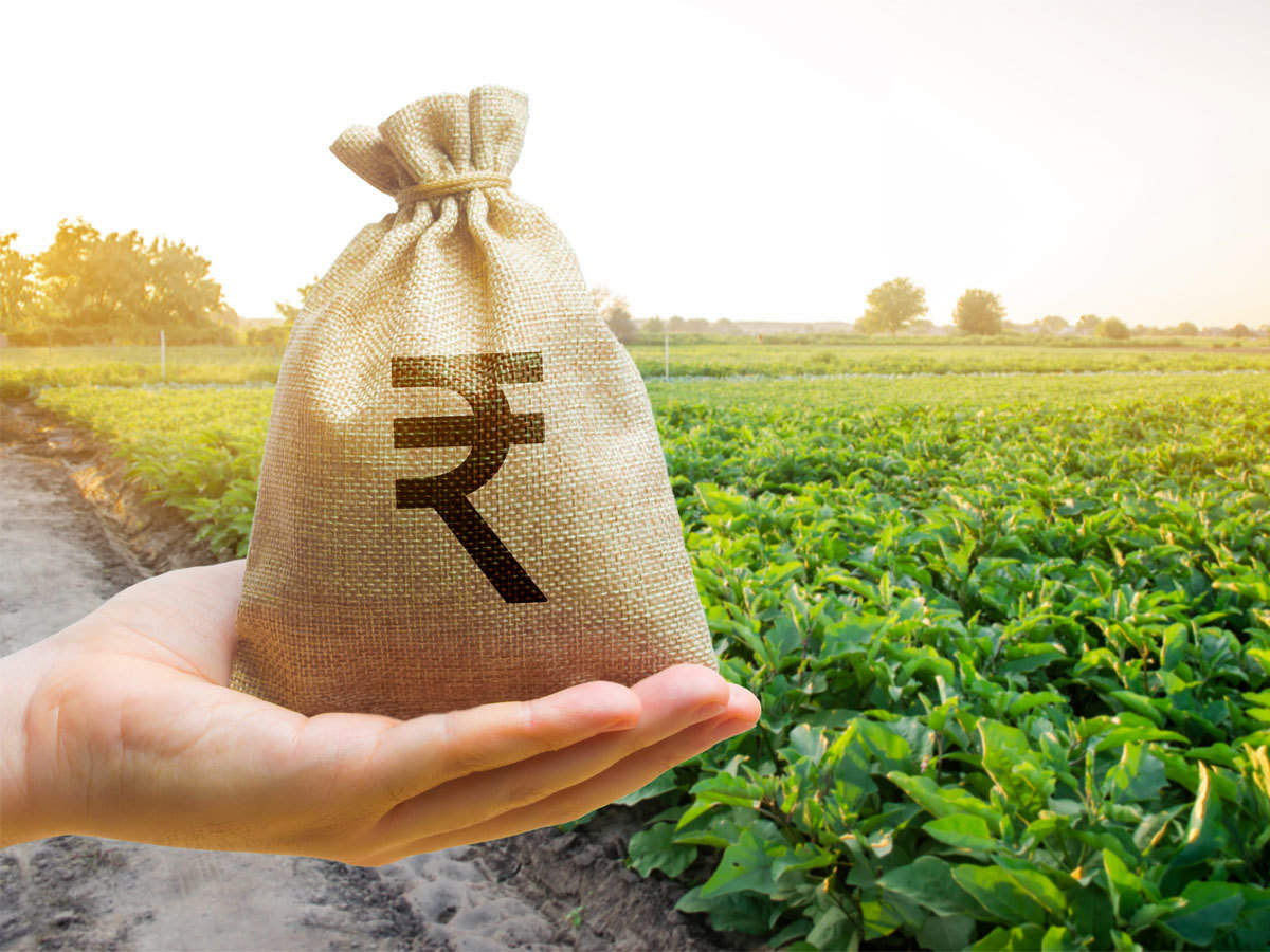will-the-amount-of-pm-kisan-yojana-increase-in-the-budget-experts-demanded-to-increase-the-amount-for-this-reason