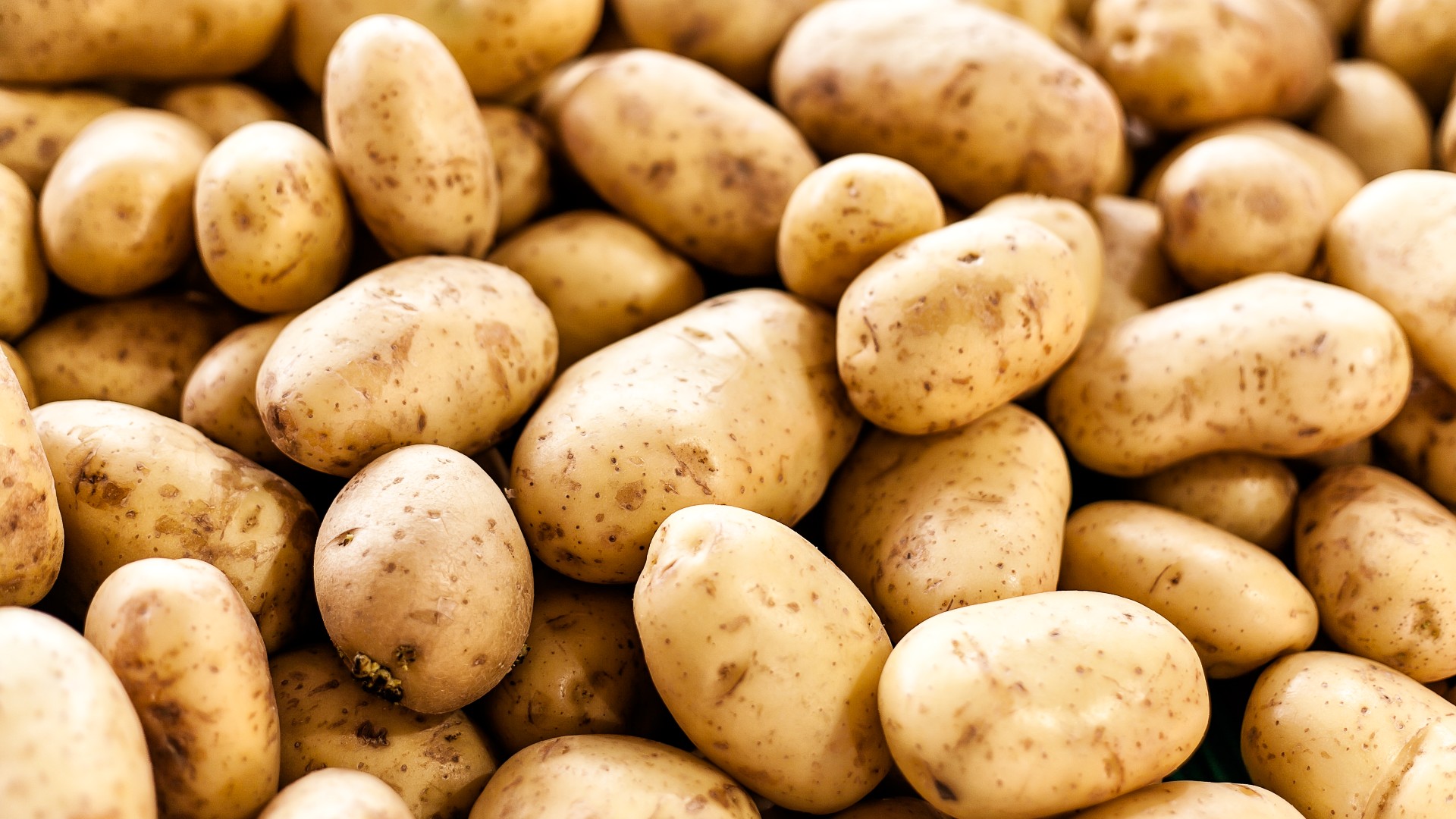 potatoes-were-grown-here-8000-years-ago-know-the-interesting-story-of-its-arrival-in-india