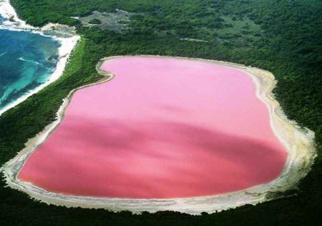 This pink lake is present here in the world, know the story behind its color