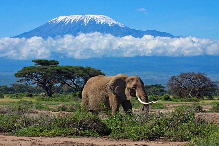 Arrive in Tanzania to see the beautiful view of nature, know what are the places to visit here
