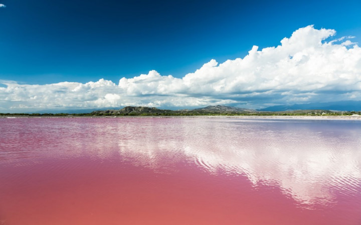This pink lake is present here in the world, know the story behind its color