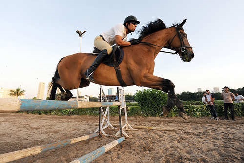 Randeep Hooda fainted while horse riding, seriously injured by fall