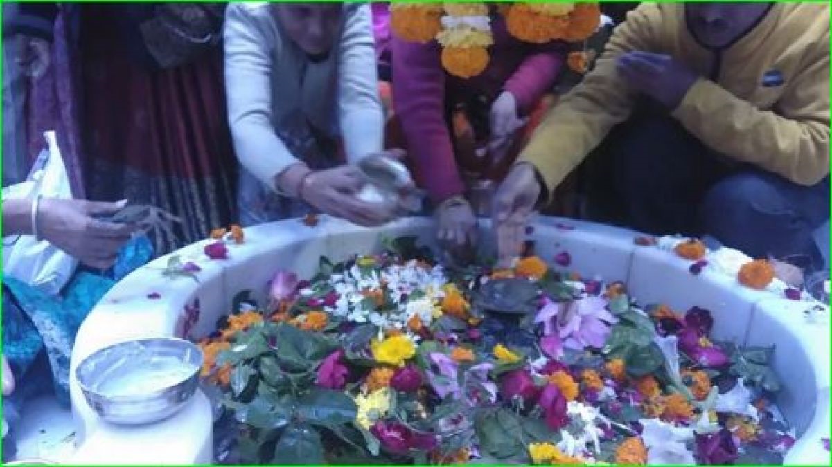 In this temple of Mahadev, live crabs climb along with fruits, do you know what they are doing?