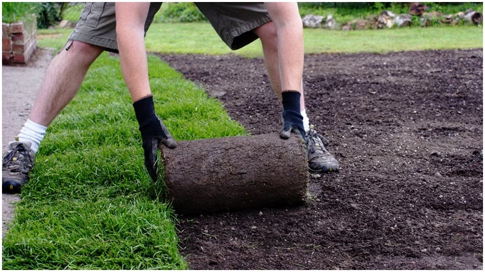 Can this also be studied? Here are 7 amazing courses of the world