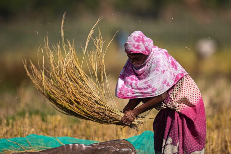 In order to provide relief to the farmers, the government will get benefit in just one click, in alert mode