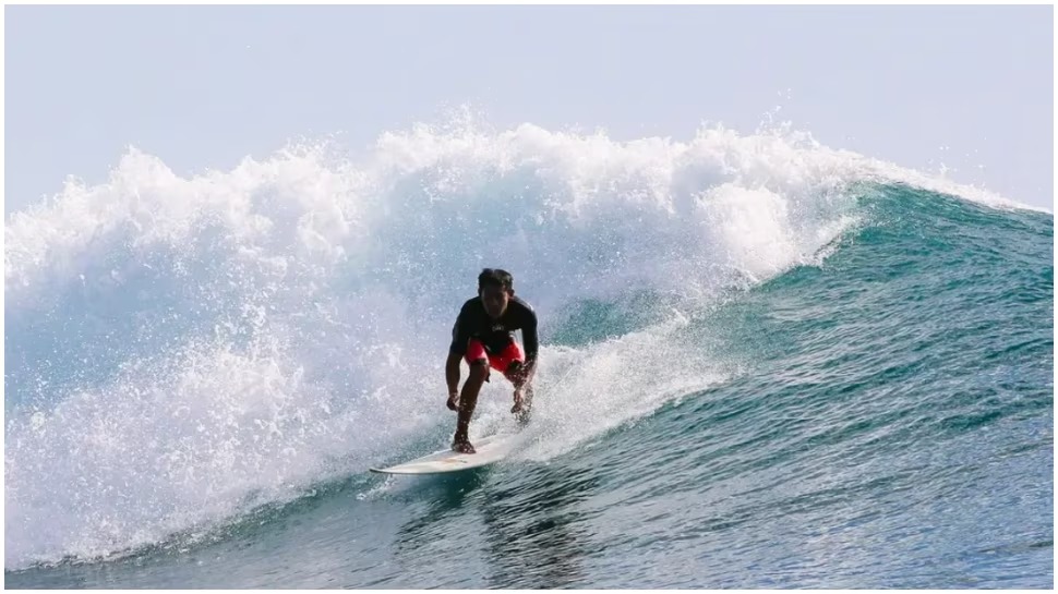 Can this also be studied? Here are 7 amazing courses of the world