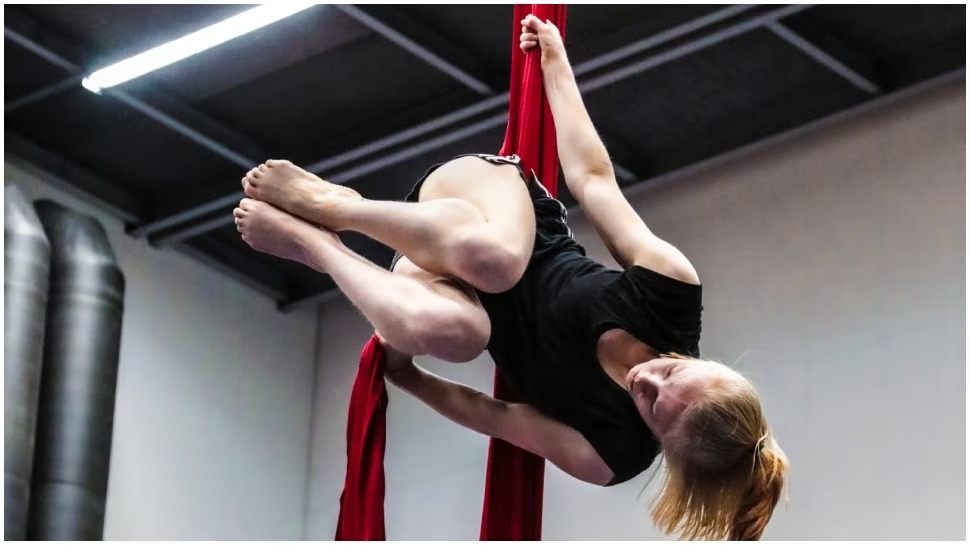 Can this also be studied? Here are 7 amazing courses of the world