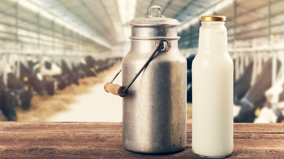 NITI Aayog Member Ramesh Chand Says India Should Find Market Abroad For More Milk Production, Know What Else Said