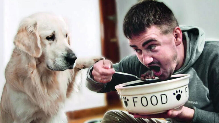 Why do gym goers eat dog food? The reason behind it is very strange