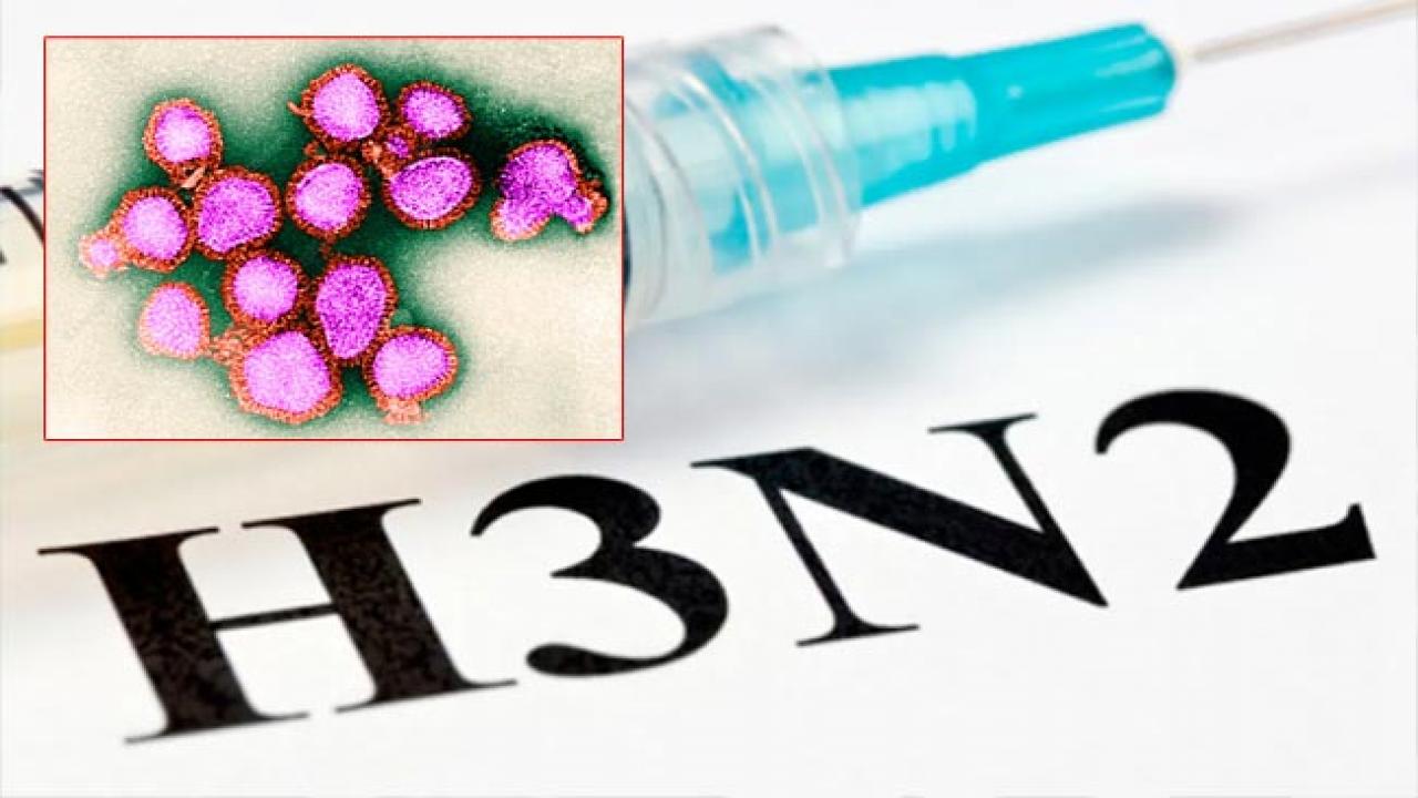 The first death due to H3N2 influenza virus in Gujarat was a woman under treatment in Vadodara