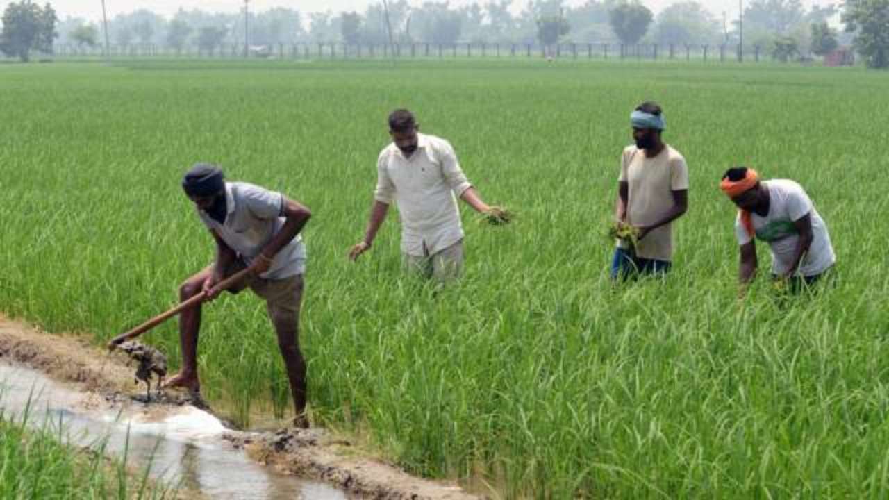 In order to provide relief to the farmers, the government will get benefit in just one click, in alert mode