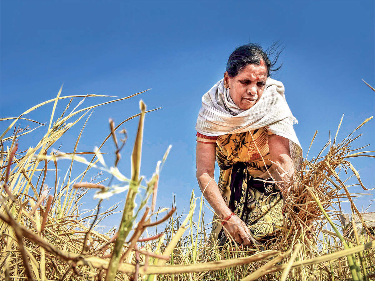 In order to provide relief to the farmers, the government will get benefit in just one click, in alert mode