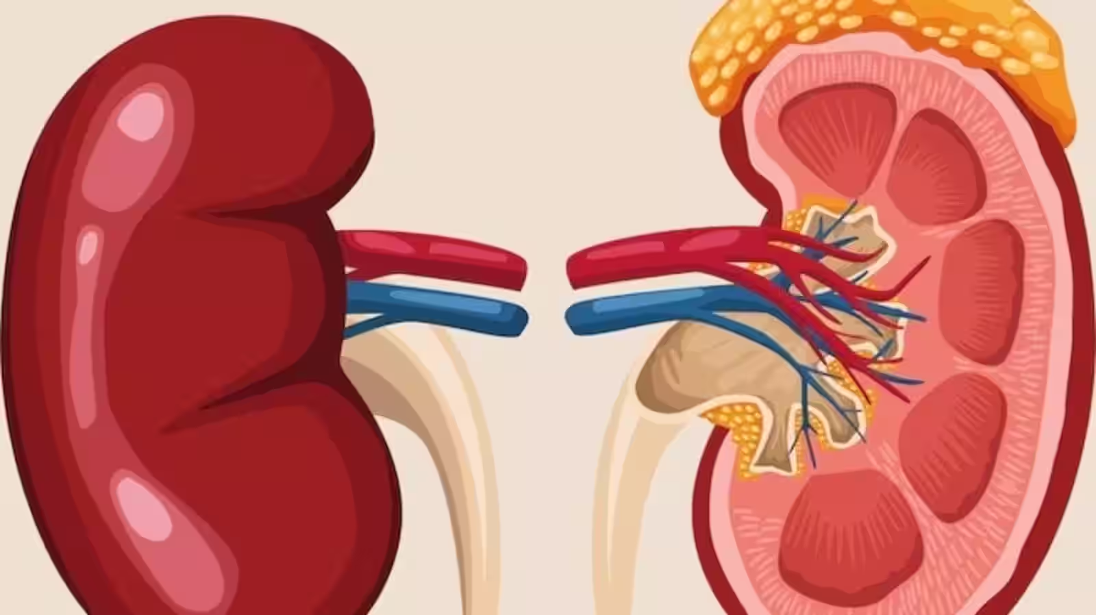 These organs indicate rising sugar levels, know what are the early symptoms