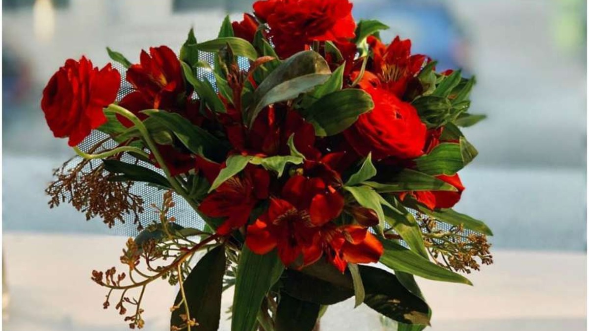 keeping-such-a-flower-in-the-house-creates-an-atmosphere-of-stress-mother-lakshmi-will-also-be-angry