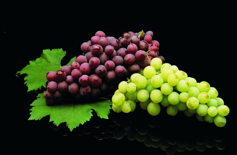 Black or green grapes? Find out which one is more beneficial for you