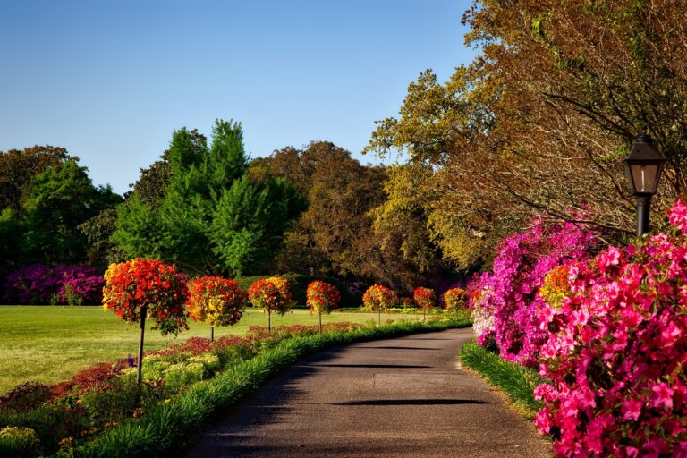 There are more than 700 poisonous plants in this garden, even breathing has to be thought about